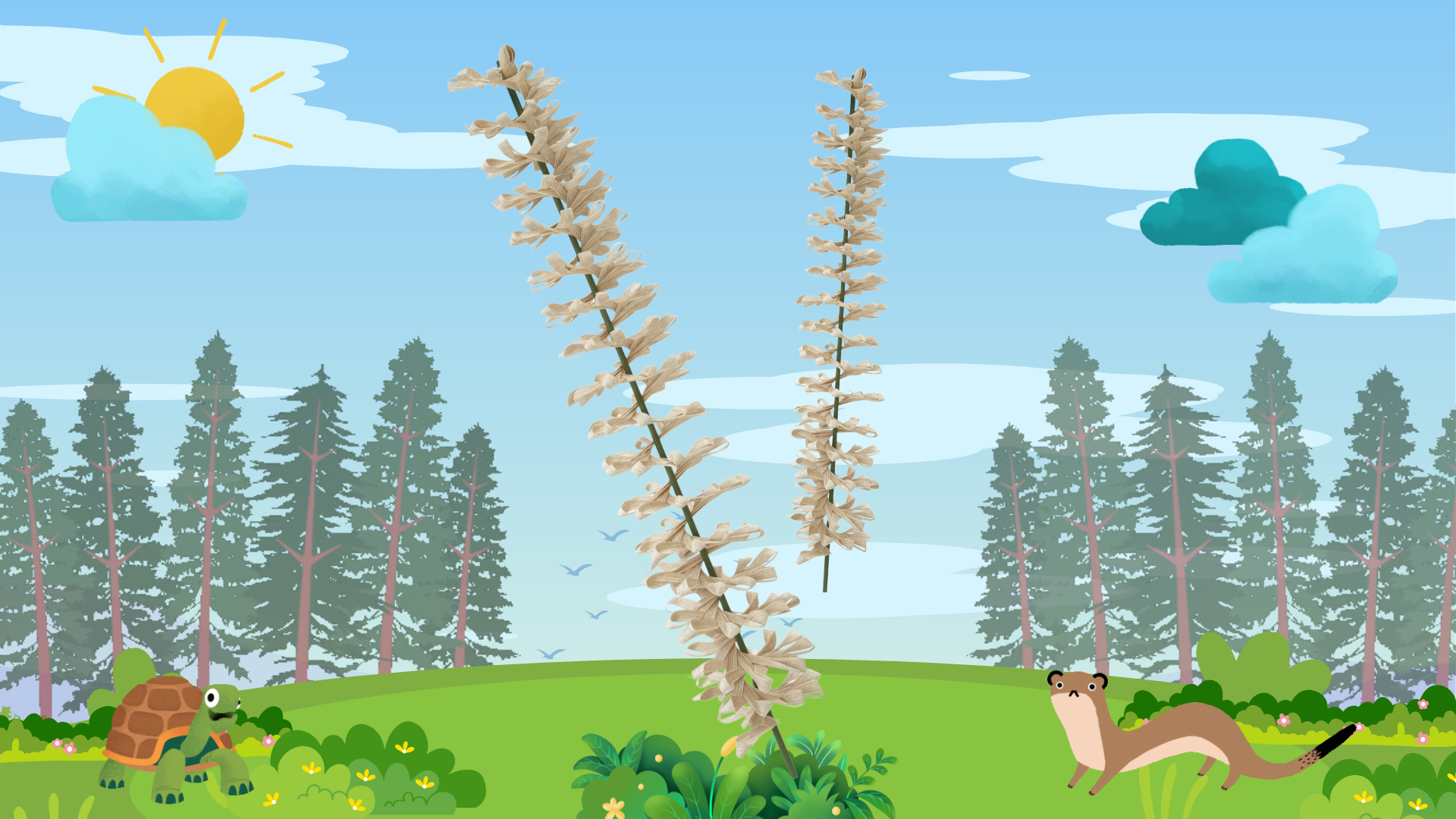 ดอกกล้วยไม้