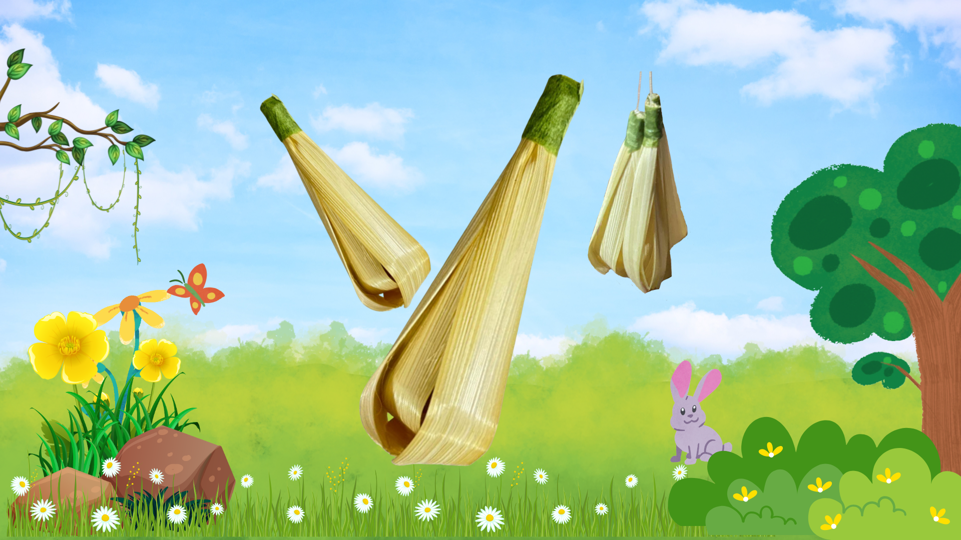 ดอกจำปี